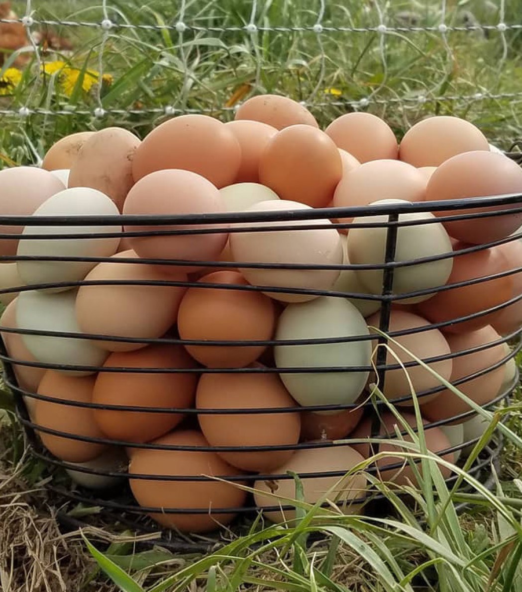 Skylight Farms Eggs