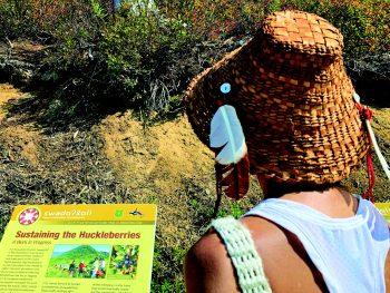 tulalip tribes sustaining huckleberries