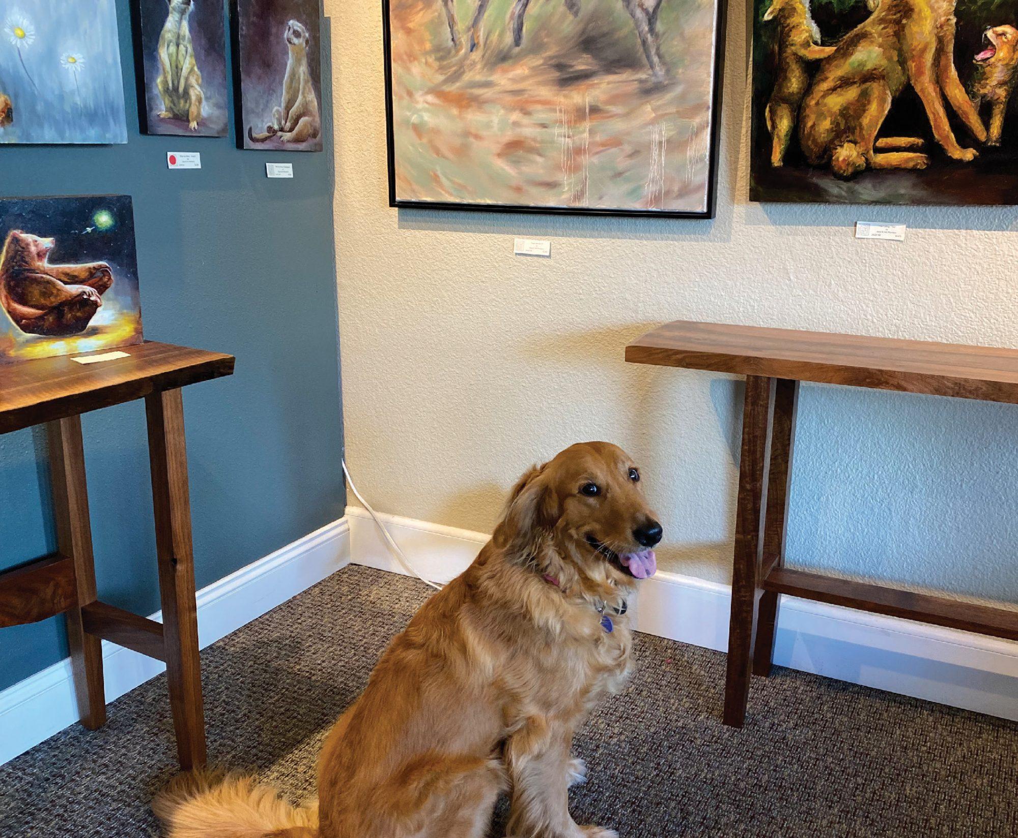 Welcome Magazine Snohomish Canine Kate Cole Gallery