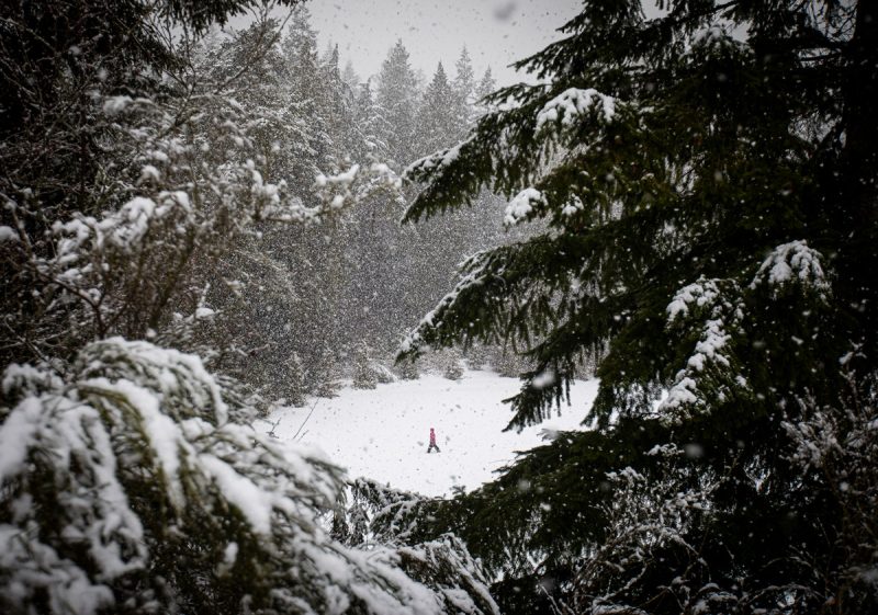 Person Trekking Across Field in Snowstorm