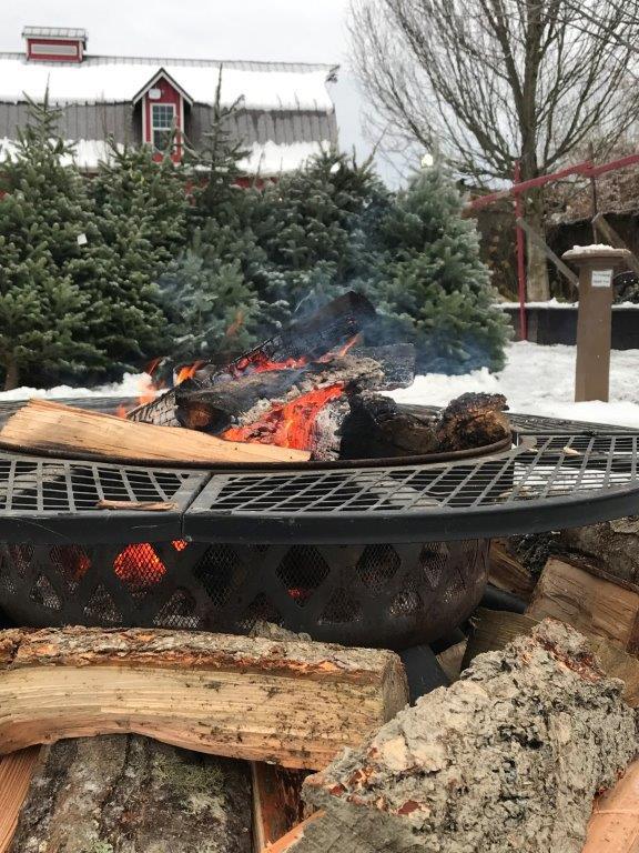 Christmas Tree Farm and fire pit in the winter