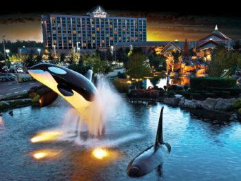 Orca Whale Jumping Illustration at Tulalip Resort and Casino