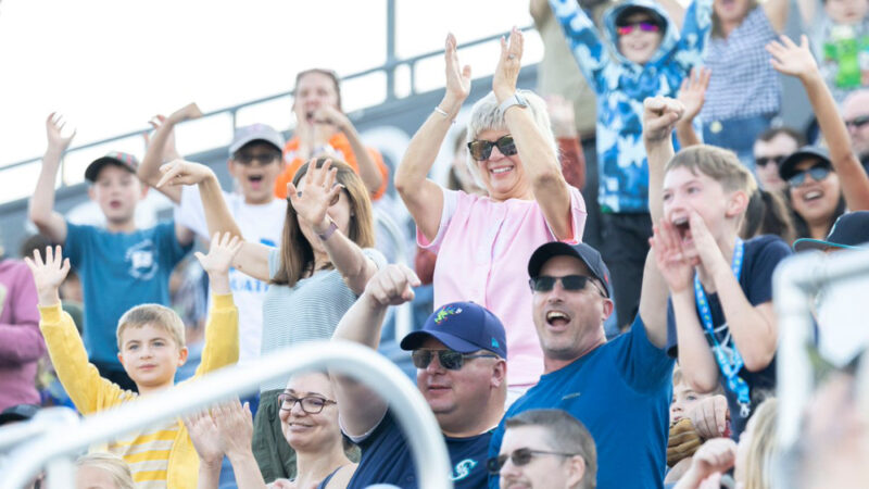 Aqua sox fans in bleachers