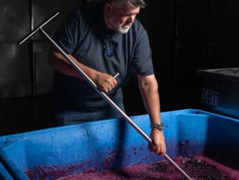 Mark working with grapes in tub