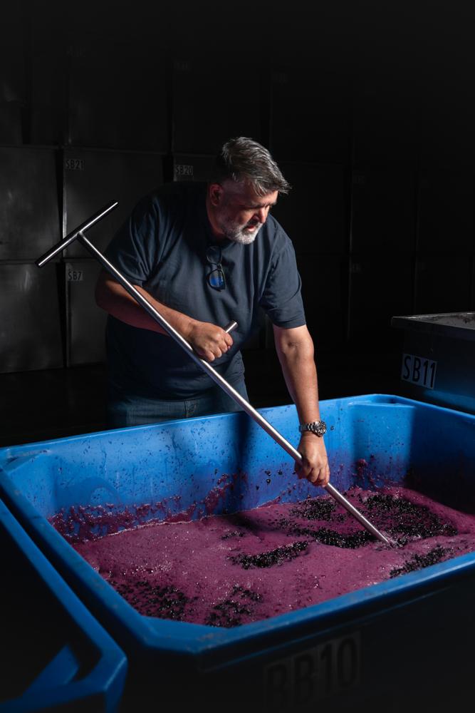 Mark working with grapes in tub