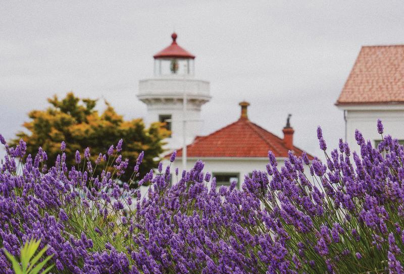pnw soccer host cities lavender lighthouse scene