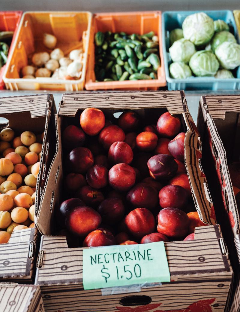 summer snohomish farmers market fruit